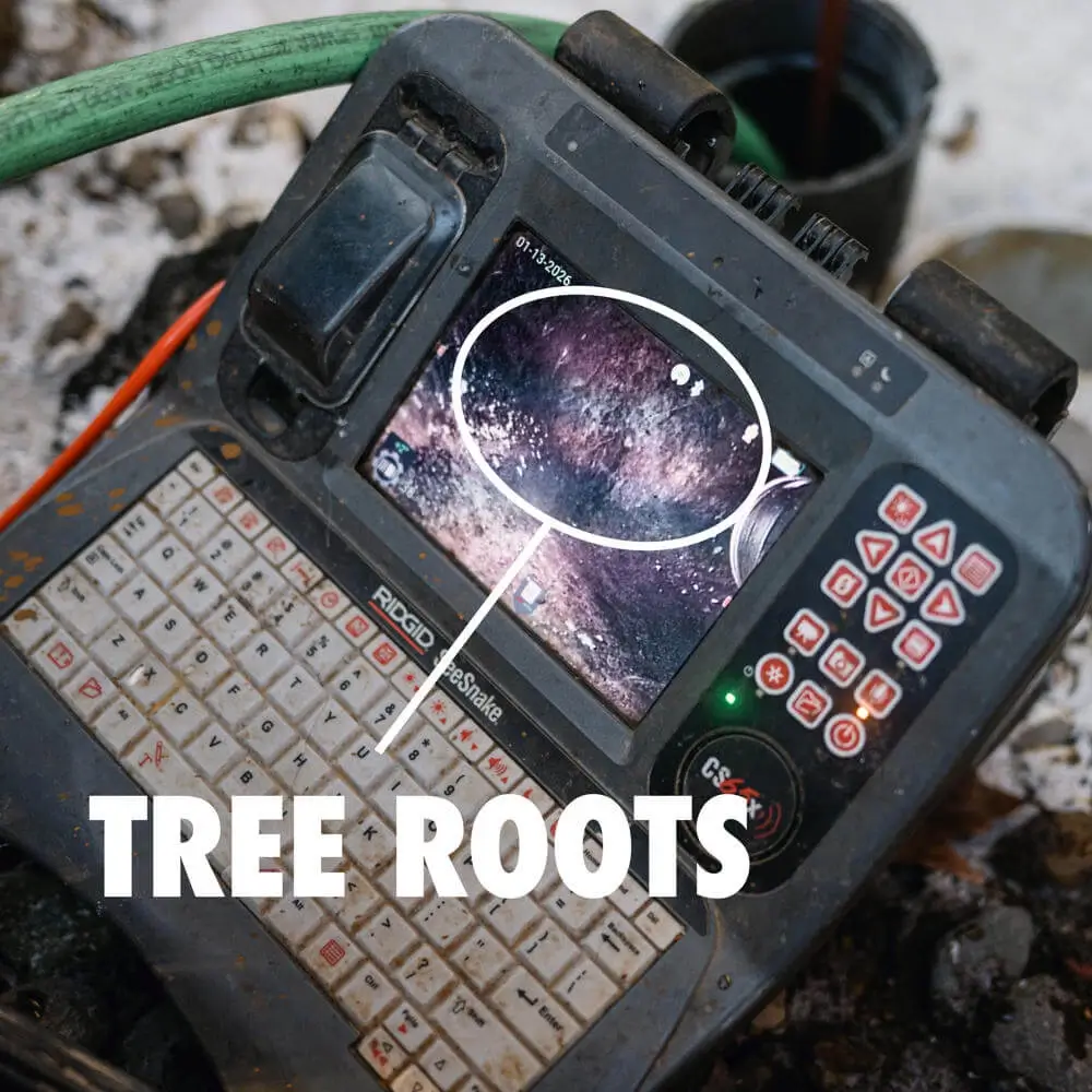 Severe root intrusion inside the main sewer line — before treatment
