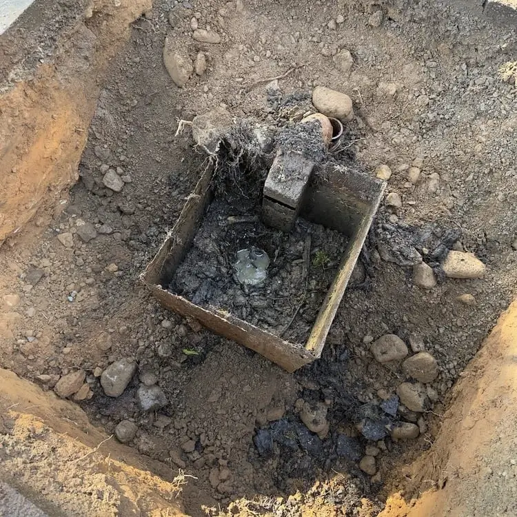Root intrusion blocking catch basin flow