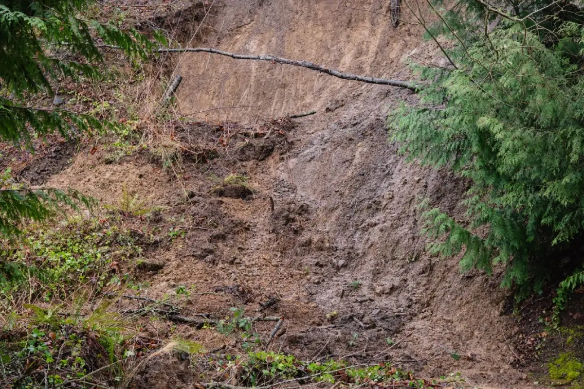 Landslide scar Night 1